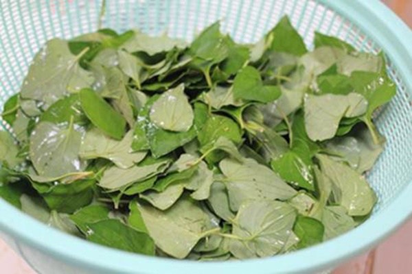 Cô gái mất tiền triệu mua kem trị mụn, nào ngờ mụn mọc nhiều hơn, cuối cùng giã nắm lá rau này đắp 3 hôm thì mụn bay sạch