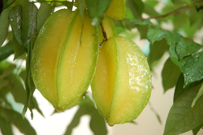 Tóc bạc sớm là điều không ai mong muốn, khiến người mắc cảm thấy tự ti vì già hơn nhiều so với tuổi thật của mình.