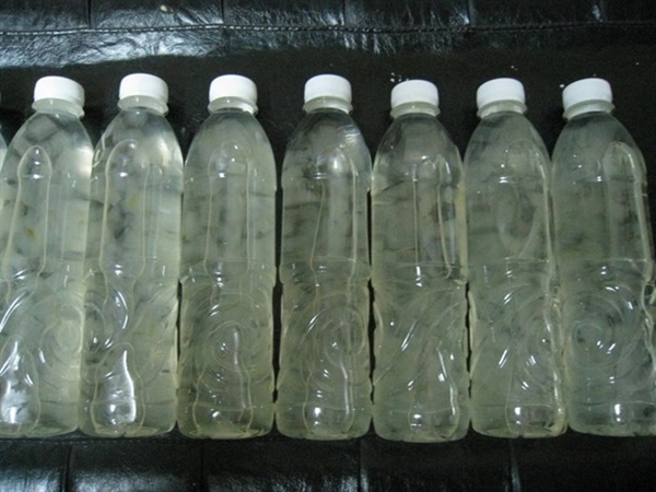 Không phải đắp mặt nạ, cứ lấy nhánh nha đam nấu nước để uống vừa ngon giòn sần sật lại thanh lọc cơ thể da khỏe đẹp nói không với mụn