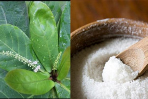 Chữa hoài 20 năm không đỡ, chỉ ngậm ngụm nước này mà tôi đã trị khỏi dứt điểm sâu răng, ê buốt, ngủ ngon một mạch đến sáng