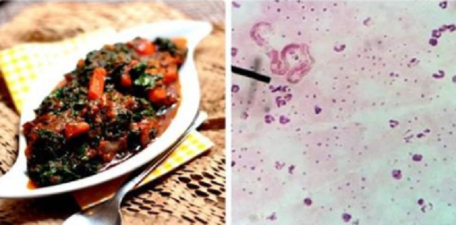 13 loại thực phẩm hàng ngày chứa độc tố, chị em cần biết để tránh “đầu độc” người thân