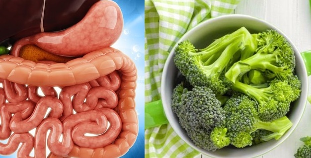 Bí quyết thải độc đường ruột, thanh lọc cơ thể tự nhiên