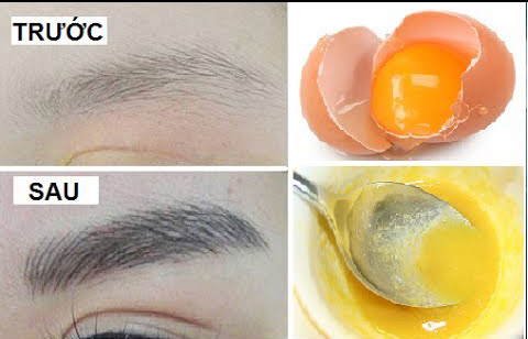 10 tuyệt chiêu kích thích lông mày mọc nhanh và dày hơn cực kì hiệu quả chỉ sau 2 tuần