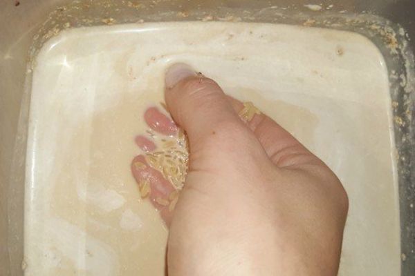 Lấy 1 nắm gạo đun với sữa tươi theo cách này để làm mặt nạ, da vừa đẹp vừa trắng hết sạch vết thâm