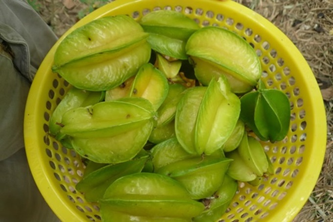 Da đẹp mịn không lo mụn và vết thâm chỉ cần nhờ 2 cách “thần kỳ” từ 1 quả khế chua thôi đấy