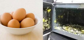 TUYỆT ĐỐI KHÔNG được để các loại thực phẩm này vào lò vi sóng