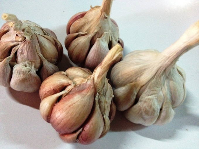 Giã nhuyễn 1 múi tỏi khô rồi thoa thế này, nốt ruồi trâu cũng bị tẩy sạch sành sanh đấy