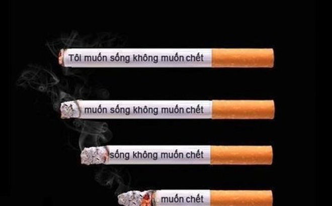 Thuốc lá - Hút loại nào cũng hại cho sức khỏe