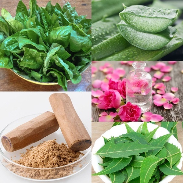 Chỉ cần áp dụng 2 phương pháp đơn giản, dễ kiếm này mụn biến mất không dấu vết sau 1 ngày