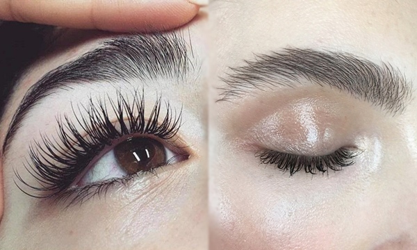 Cần gì nối mi, xăm mày, cứ lấy nhánh nha đam để bôi theo cách này là mọc dài nhanh như thổi