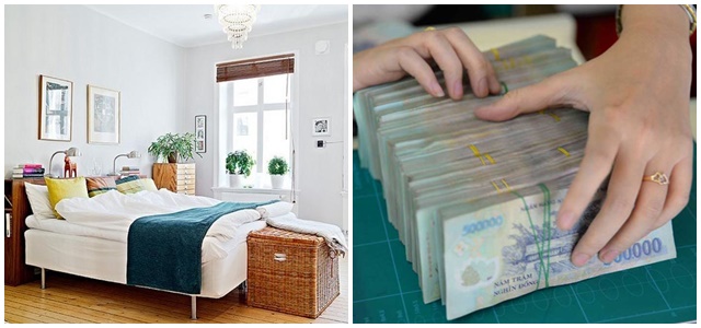 CHÚ Ý: đặt loại cây này trong phòng ngủ sẽ hút sạch BỨC XẠ điện tử lại hóa giải hết vận đen giúp tiền bạc ào ào đổ về