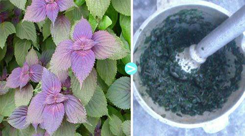 Mụn thịt cứng đầu đến đâu cũng phải rút lui với 4 cách đơn giản dưới đây