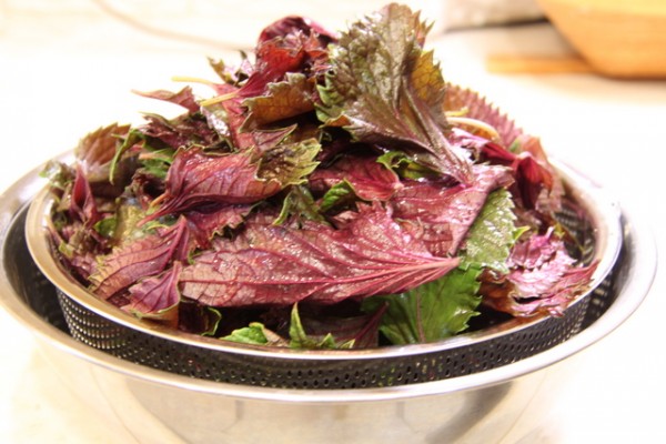 Người vừa trắng vừa thơm ai cũng nghĩ là xịt nước hoa, thực ra tôi chỉ tắm bằng nước lá này mà thôi