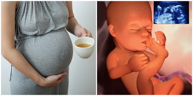 Một cốc nước ấm pha mật ong có năng lượng gấp 5 lần sữa, mẹ bầu uống vào thời điểm này sẽ bổ não và tăng khả năng miễn dịch cho thai nhi