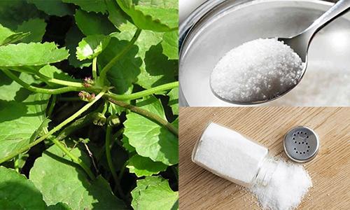 Sẹo lồi, sẹo lõm cứng đầu đến mấy cũng bị đánh bay với công thực đơn giản tại nhà