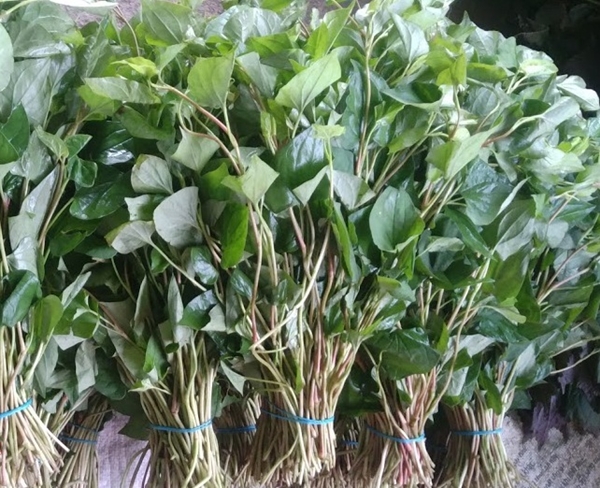 Xay nhuyễn rau diếp cá trộn với thứ này để uống, da trắng đẹp ngay lập tức, mặt sạch mụn trứng cá .