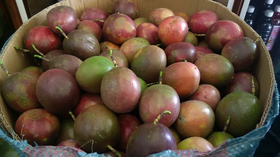 Ăn trái này còn tốt hơn ăn 10 quả táo, 15 quả cam