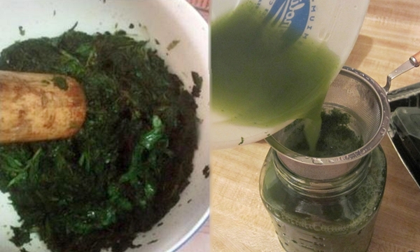 Bật tông trắng hồng, căng mướt chỉ nhờ 1 nắm diếp cá và rượu trắng nhà nào cũng có