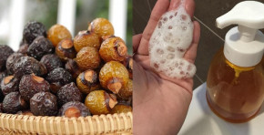 Loại quả có công dụng làm sạch quần áo tắm vào là tỏa ra hương thơm ngào ngạt đang được thế giới săn lùng ráo riết