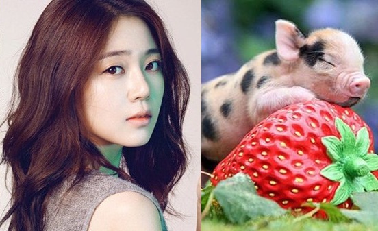 Người tuổi Hợi "khổ" lắm ai ơi, có sướng gì cho cam - nhưng cũng may là...