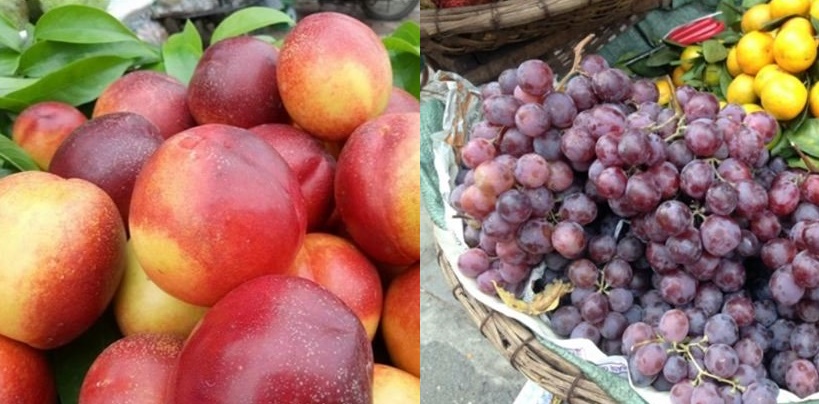 Gần Tết, cẩn thận với 7 loại hoa quả Trung Quốc ngâm thuốc được nhập về Việt Nam, chớ dại mua nhầm khi đi chợ