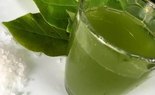 Vò nát lá này rồi trộn với muối, sâu răng, nhiệt miệng sẽ tự khắc khỏi chỉ sau đúng 1 đêm