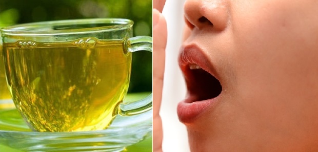 Nách bốc mùi, miệng hôi nặng cỡ nào cũng khỏi vĩnh viễn chỉ với 1 nắm lá ổi đầy vườn được làm theo cách này