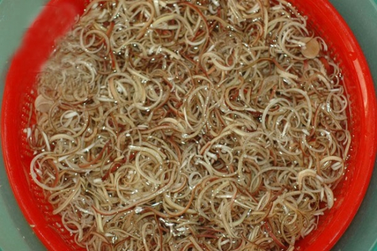 Bí kíp đơn giản giữ rau củ đã cắt 8 tiếng mà vẫn không bị thâm xì xấu xí