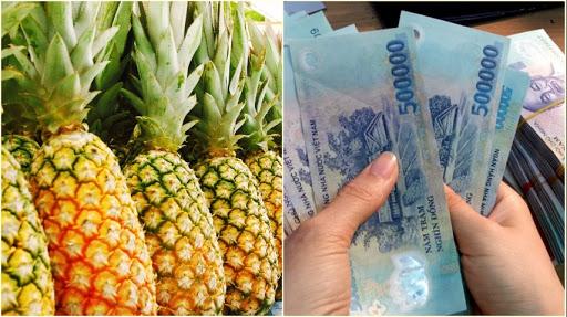 Trong dịp đầu năm nhất định phải đặt 9 quả dứa như thế này thì TIỀN TÀI và MAY MẮN sẽ vào nhà như nước