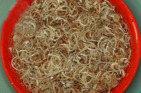 Bí kíp đơn giản giữ rau củ đã cắt 8 tiếng mà vẫn không bị thâm xì xấu xí