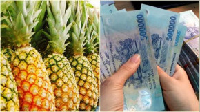 Trong dịp đầu năm nhất định phải đặt 9 quả dứa như thế này thì TIỀN TÀI và MAY MẮN sẽ vào nhà như nước