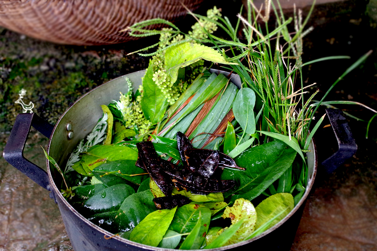 Hướng dẫn cách nấu nước lá và xông hơi giải cảm tại nhà