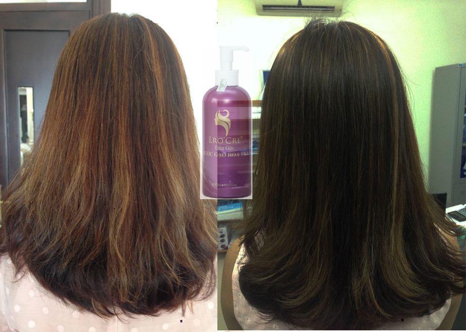 Phương pháp chăm sóc tóc bằng thiên nhiên của phụ nữ các nước trên thế giới