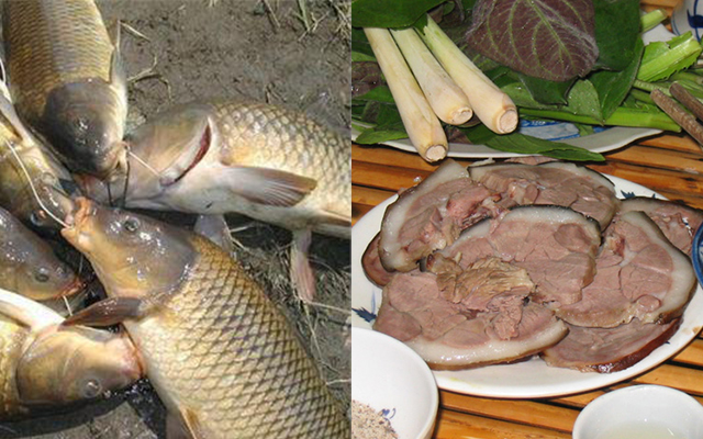 Dù NHỊN ĐÓI cũng đừng dại ĂN CÁ nấu với thứ này kẻo phá hủy nội tạng, có ngày ĐỘT TỬ như chơi