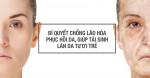 “THÊM VÀO GIỎ HÀNG” BỘ SẢN PHẨM CHỐNG LÃO HÓA PHỤC HỒI DA TỪ VIỆN NGHIÊN CỨU NHẬT BẢN NÀY NGAY