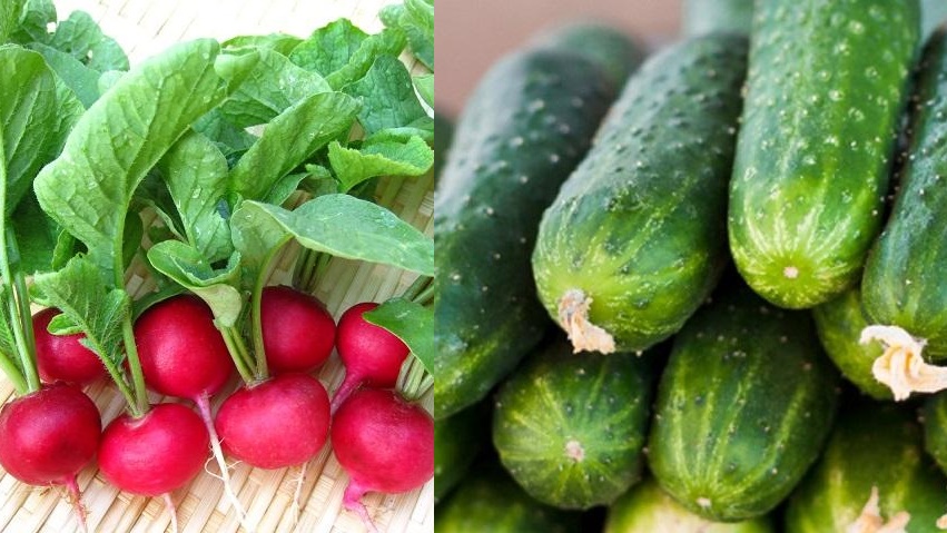 Sắp đến tết rồi, ăn ngay 10 loại thực phẩm này hằng ngày để giải độc đường ruột, lọc sạch gan thận