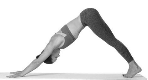 Không có thời gian đi Gym thì tập động tác đơn giản này mỗi ngày, eo con kiến chỉ sau vài tuần