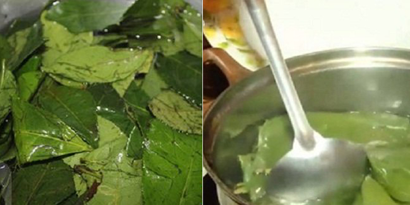 Đun trà xanh kiểu có 1-0-2 này, lấy nước thoa lên mặt để có làn da trắng hồng mềm mịn