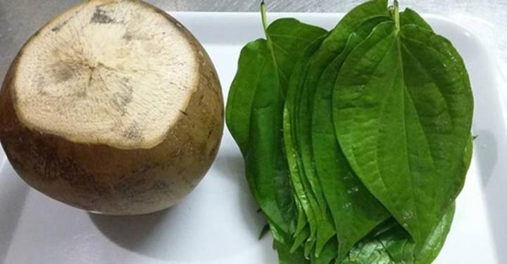 Bài thuốc kỳ diệu trị dứt điểm bệnh gút chỉ trong 7 ngày chỉ với 1 quả dừa xiêm theo cách này, mọi cặn bã bị đánh bay tích tắc