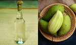 Xoài xanh ngâm rượu trắng – Bài thuốc gia truyền đặc trị viêm lợi, đau nhức do sâu răng, hiệu quả ngay sau lần đầu tiên