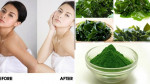 Tự làm 7 loại mặt nạ tảo biển tại nhà để sở hữu làn da hồng mịn "đầy sinh khí" như người Nhật