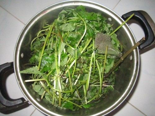 Nhân mụn ẩn bị đẩy lên hết nhờ tuyệt chiêu nấu nồi nước xông mặt bằng 3 loại lá