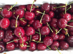 Mẹo nhận biết cherry Úc và cherry Trung Quốc, chị em nội trợ phải lưu ý