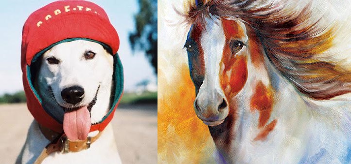 Tử vi 12 con giáp từ ngày 22/1 đến 28/1/2018: những con giáp nào sẽ nhận được LỘC TRỜI, sự nghiệp vô cùng PHẤT, tình duyên ĐỎ HƠN SON?