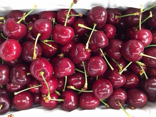 Mẹo nhận biết cherry Úc và cherry Trung Quốc, chị em nội trợ phải lưu ý