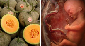 Top 6 loại trái cây "mọng nước" ngon bổ rẻ, bà bầu nên ăn nhiều để thai nhi không lo bị thiếu ối