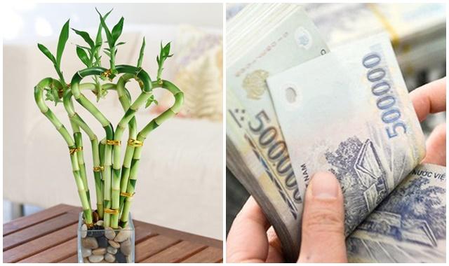 Có 5 dấu hiệu báo trước TIỀN BẠC sẽ ào vào nhà như nước lũ, nếu thấy một trong những điều này thì ăn mừng ngay thôi