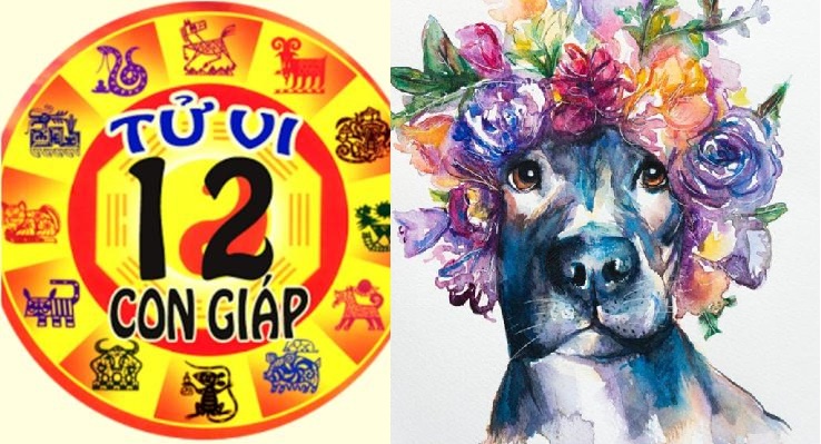 Tử vi 12 con giáp từ ngày 29/1 - 4/2/2018 những con giáp sau đây sẽ thành công trên mọi mặt trận từ SỰ NGHIỆP, TÌNH DUYÊN đến SỨC KHỎE