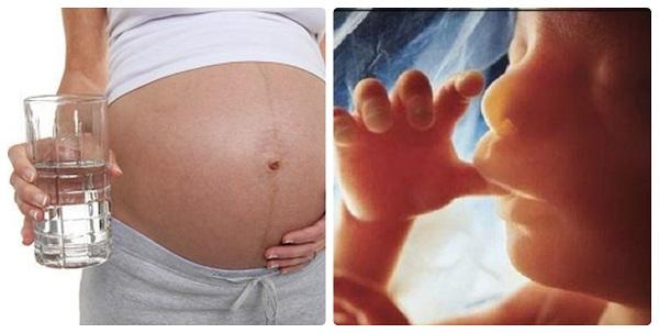 Mẹ bầu chỉ cần uống 1 cốc nước ấm vào 5 THỜI ĐIỂM VÀNG này sẽ cực kỳ tốt, hơn cả dùng thuốc bổ đấy!