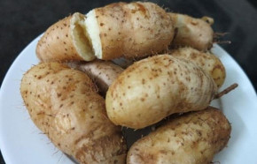Khoai từ - tưởng là món nhà quê nhưng không ngờ lại làm nên điều KÌ DIỆU với cơ thể